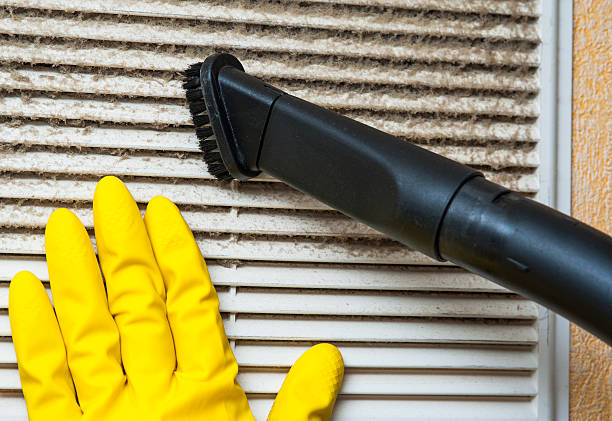 Best Residential Air Duct Cleaning  in Chinle, AZ